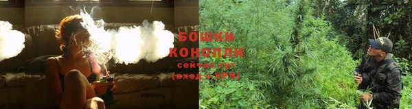 ГАЛЛЮЦИНОГЕННЫЕ ГРИБЫ Армянск