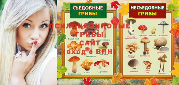 СК Арсеньев