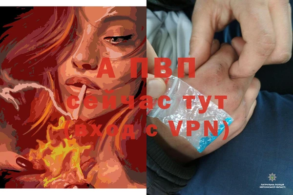 СК Арсеньев
