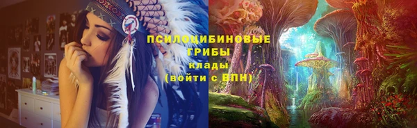 СК Арсеньев