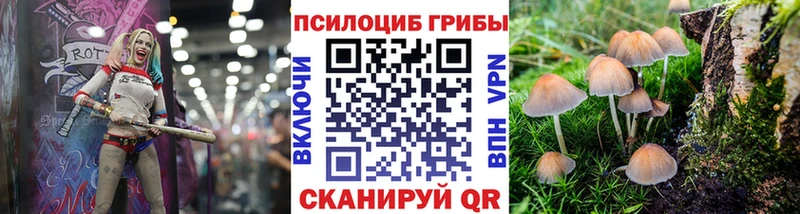 Псилоцибиновые грибы GOLDEN TEACHER Строитель