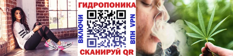 купить  сайты  Строитель  Шишки марихуана AK-47 